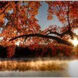 org:/landingpages/winnaars DK NO SE/4e-prize scandinavie.jpg